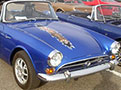 Sunbeam Tiger